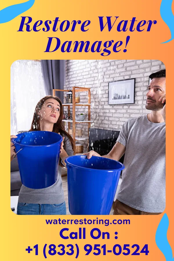 water restoration Allied Emergency Restoration Partners Remy