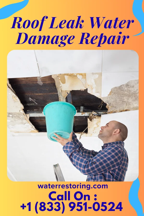 Roof Leak Water Damage Repair in Remy, OK