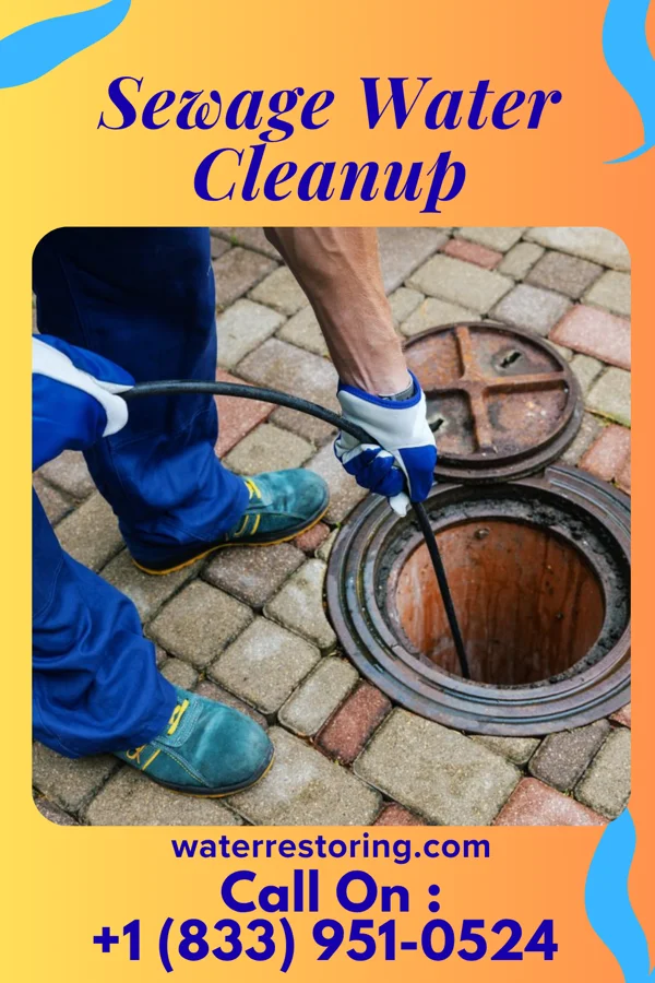 Sewage Water Cleanup in Remy, OK